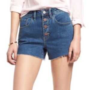 Anthropologie Treasure and Bond Blue Jean Shorts